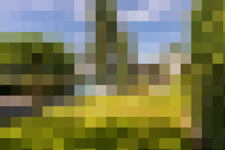 Kerkstraat 31 Waddinxveen thumbnail 62