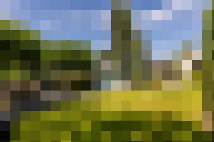 Kerkstraat 31 Waddinxveen thumbnail 63