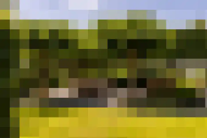 Kerkstraat 31 Waddinxveen thumbnail 64