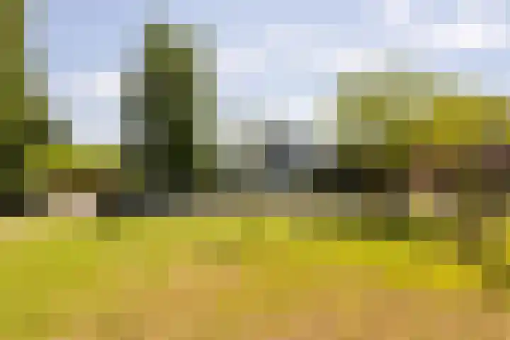 Kerkstraat 31 Waddinxveen thumbnail 7