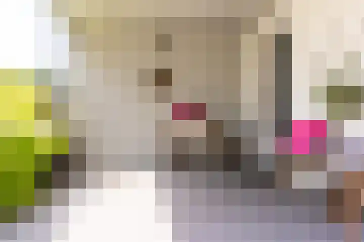 Kerkstraat 31 Waddinxveen thumbnail 73