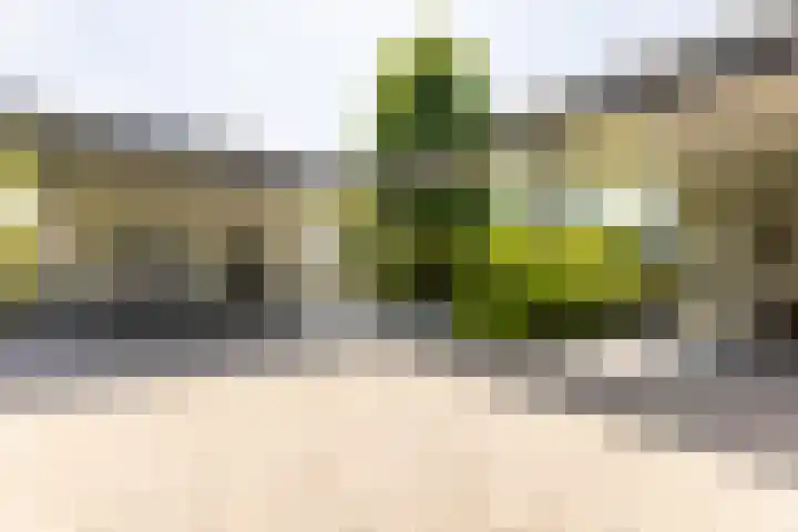 Kerkstraat 31 Waddinxveen thumbnail 75