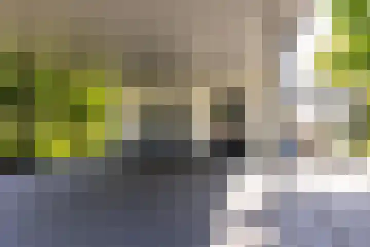 Kerkstraat 31 Waddinxveen thumbnail 76