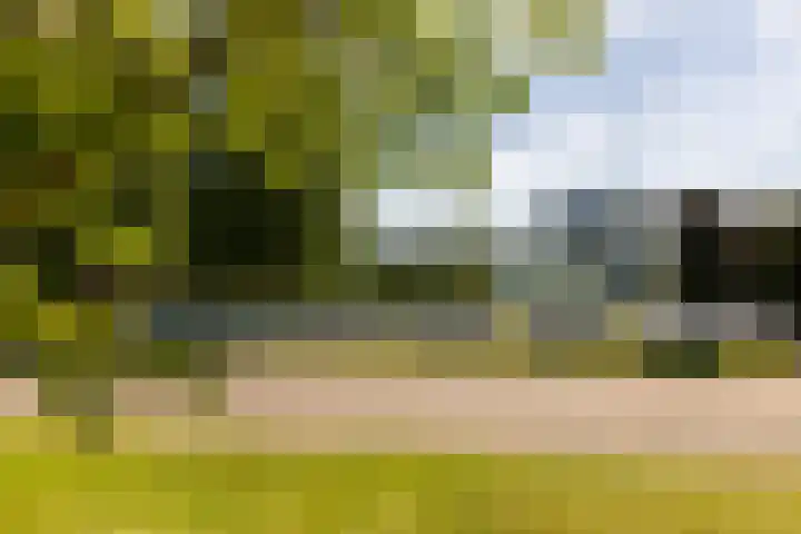 Kerkstraat 31 Waddinxveen thumbnail 8