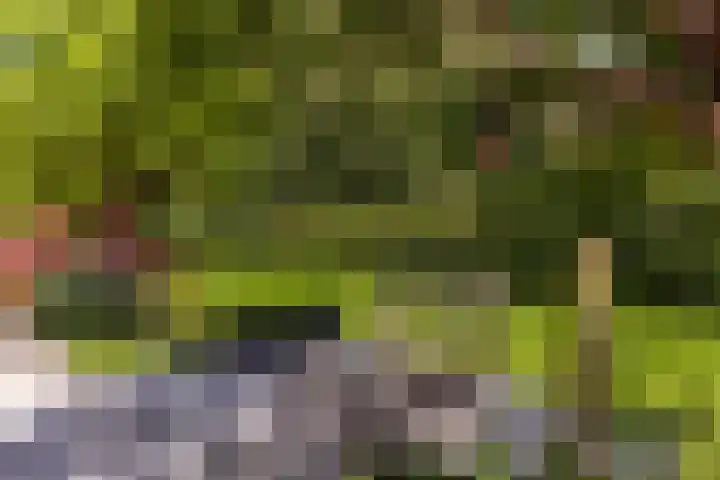 Kerkstraat 31 Waddinxveen thumbnail 80