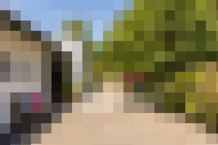 Kerkstraat 31 Waddinxveen thumbnail 81