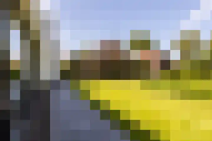 Kerkstraat 31 Waddinxveen thumbnail 82
