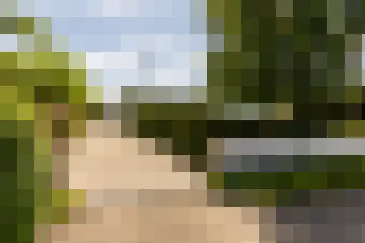 Kerkstraat 31 Waddinxveen thumbnail 83
