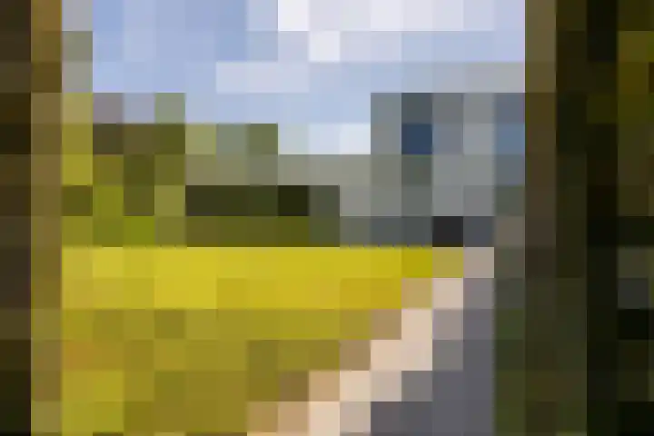 Kerkstraat 31 Waddinxveen thumbnail 9