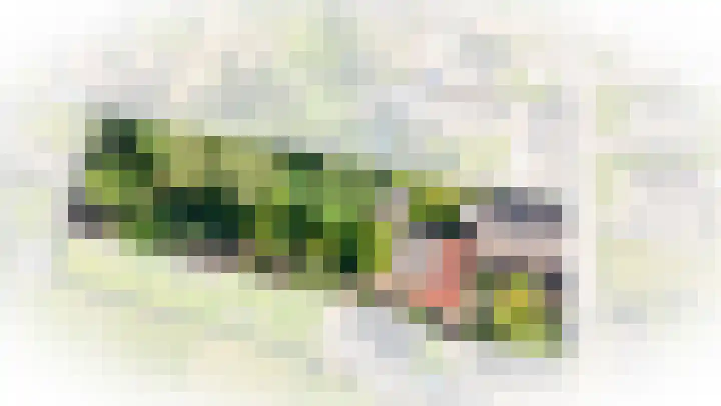 Kerkstraat 31 Wamel thumbnail 35
