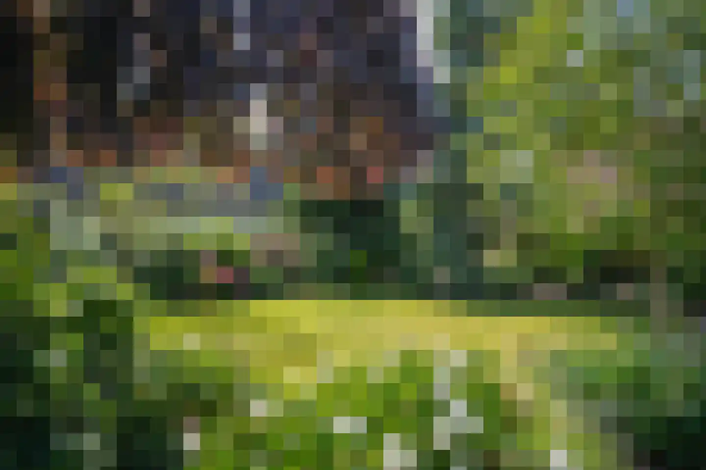 Kerkstraat 31 Wamel thumbnail 63