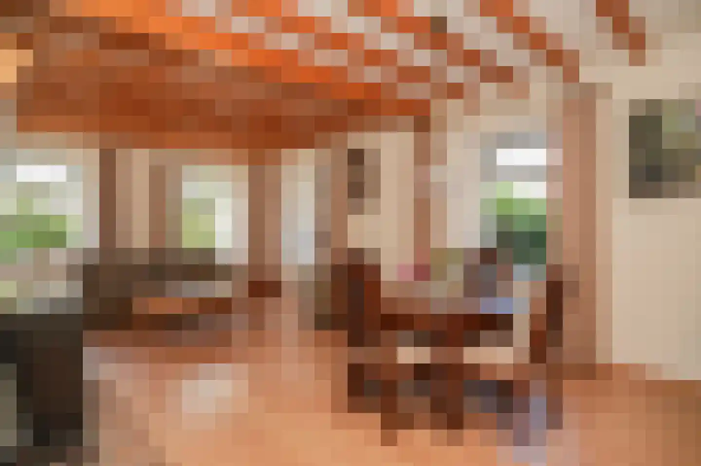 Kerkstraat 31 Wamel thumbnail 8