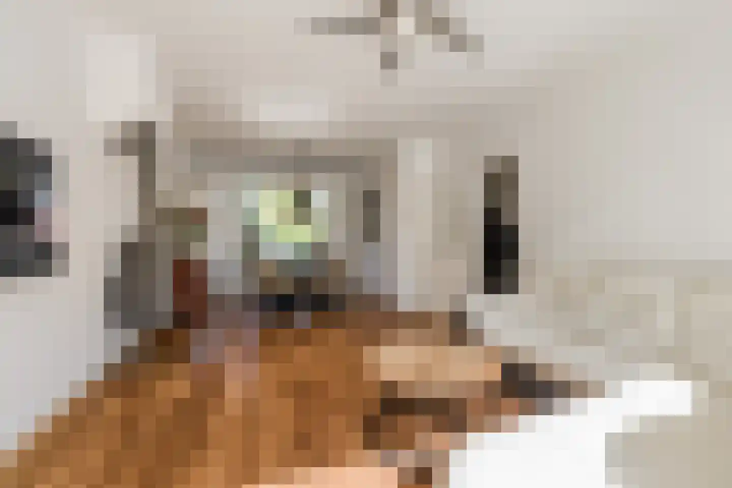 Kerkstraat 32 A Noordwijkerhout thumbnail 10