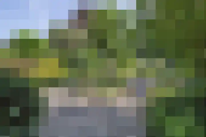 Kerkstraat 32 Bavel thumbnail 30