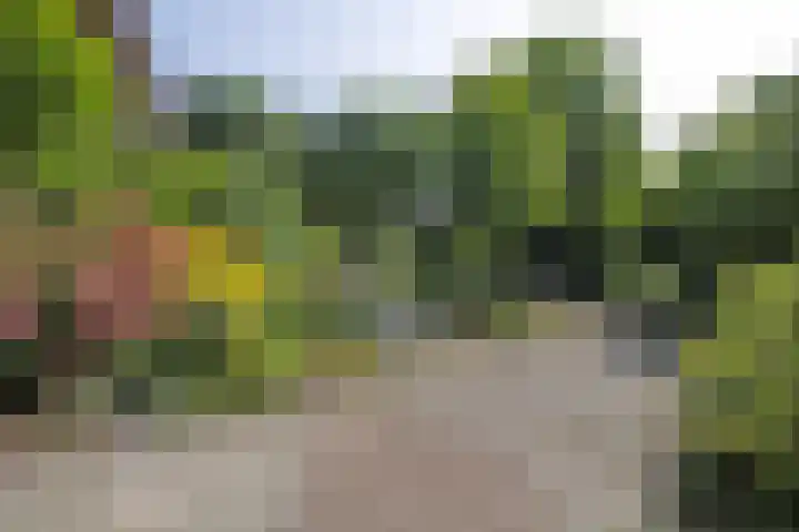 Kerkstraat 32 Bavel thumbnail 31