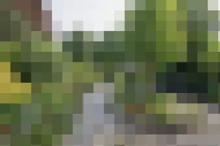 Kerkstraat 32 Bavel thumbnail 32