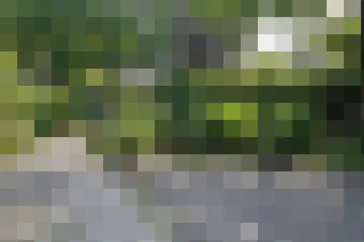 Kerkstraat 32 Bavel thumbnail 33