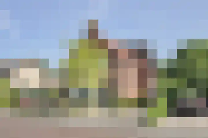 Kerkstraat 32 Bavel thumbnail 43