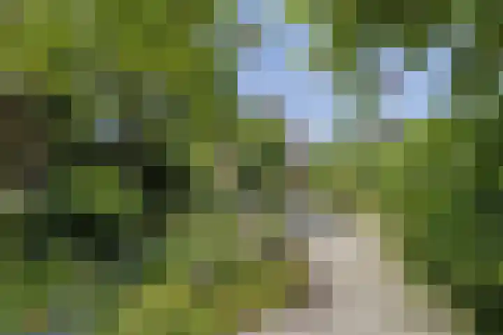Kerkstraat 32 Bavel thumbnail 5