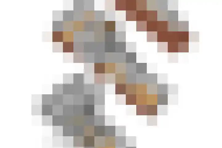 Kerkstraat 32 Coevorden thumbnail 38