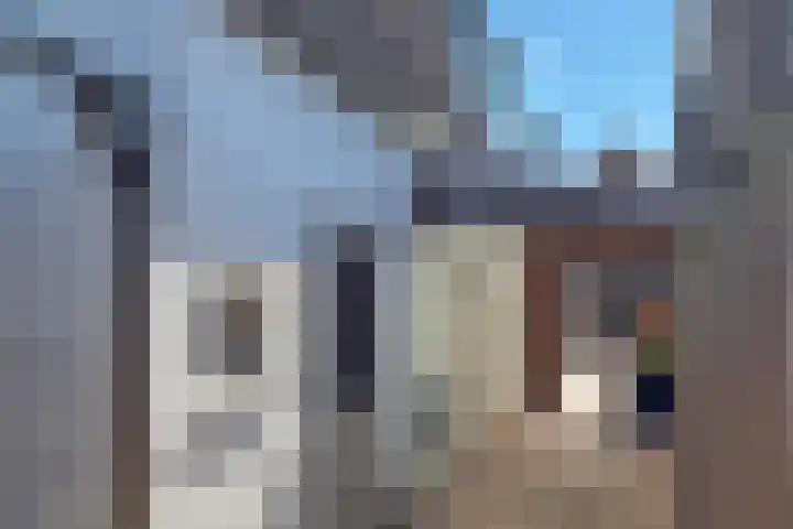 Kerkstraat 32 Coevorden thumbnail 8
