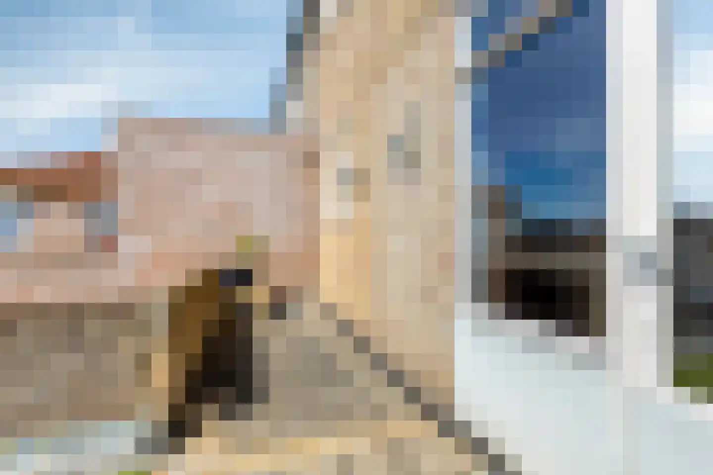 Kerkstraat 32 Heesch thumbnail 18