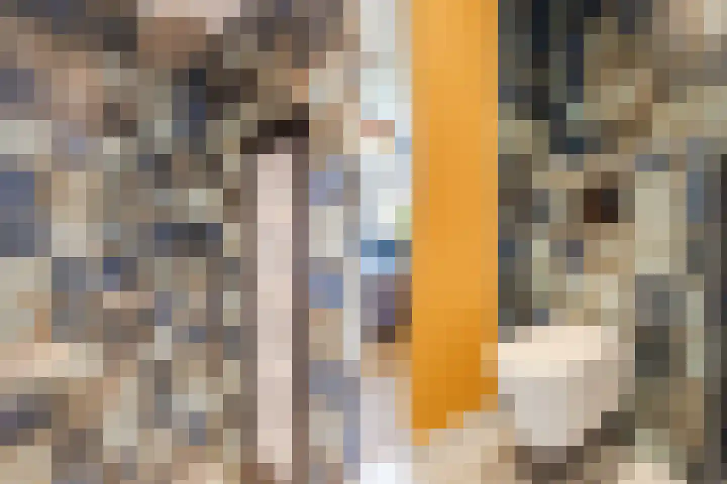 Kerkstraat 32 Randwijk thumbnail 16