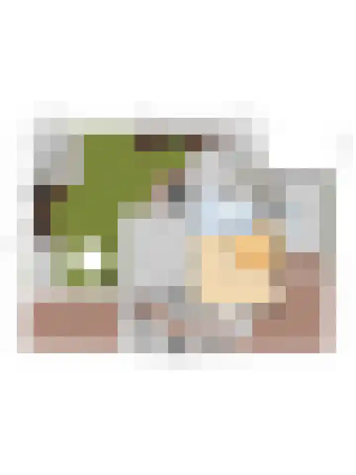Kerkstraat 32 Renswoude thumbnail 47