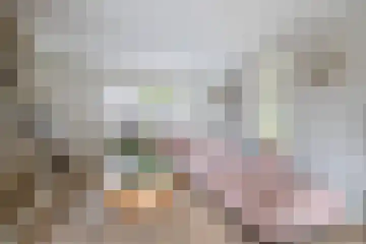 Kerkstraat 32 Renswoude thumbnail 5