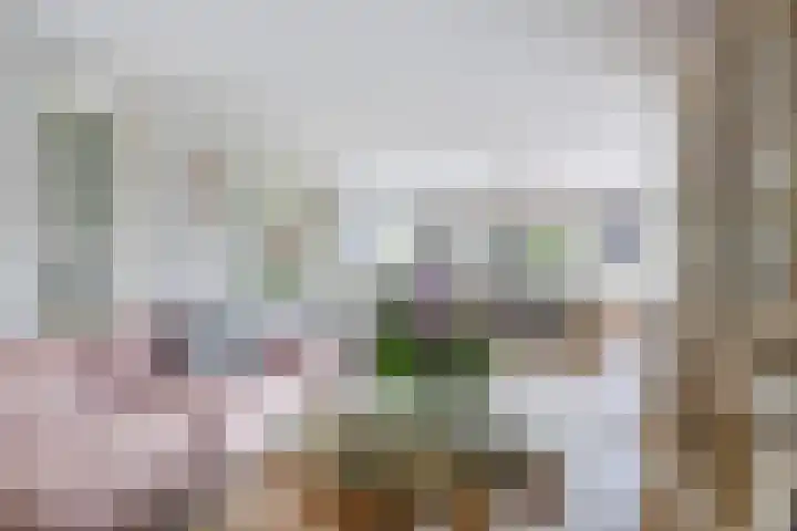 Kerkstraat 32 Renswoude thumbnail 6