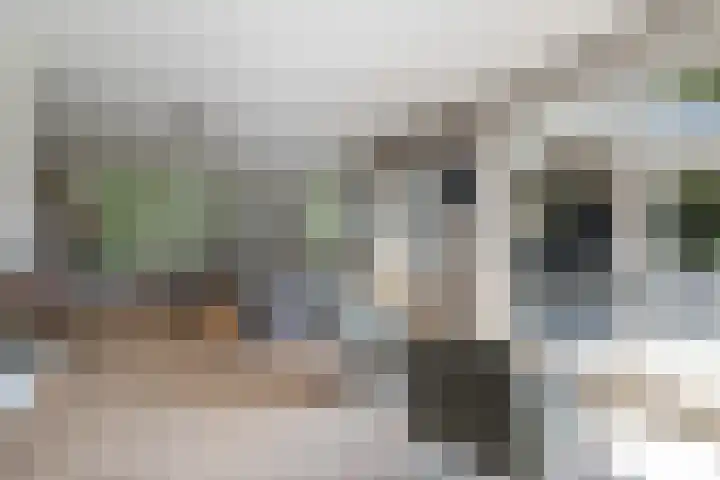 Kerkstraat 32 Renswoude thumbnail 8