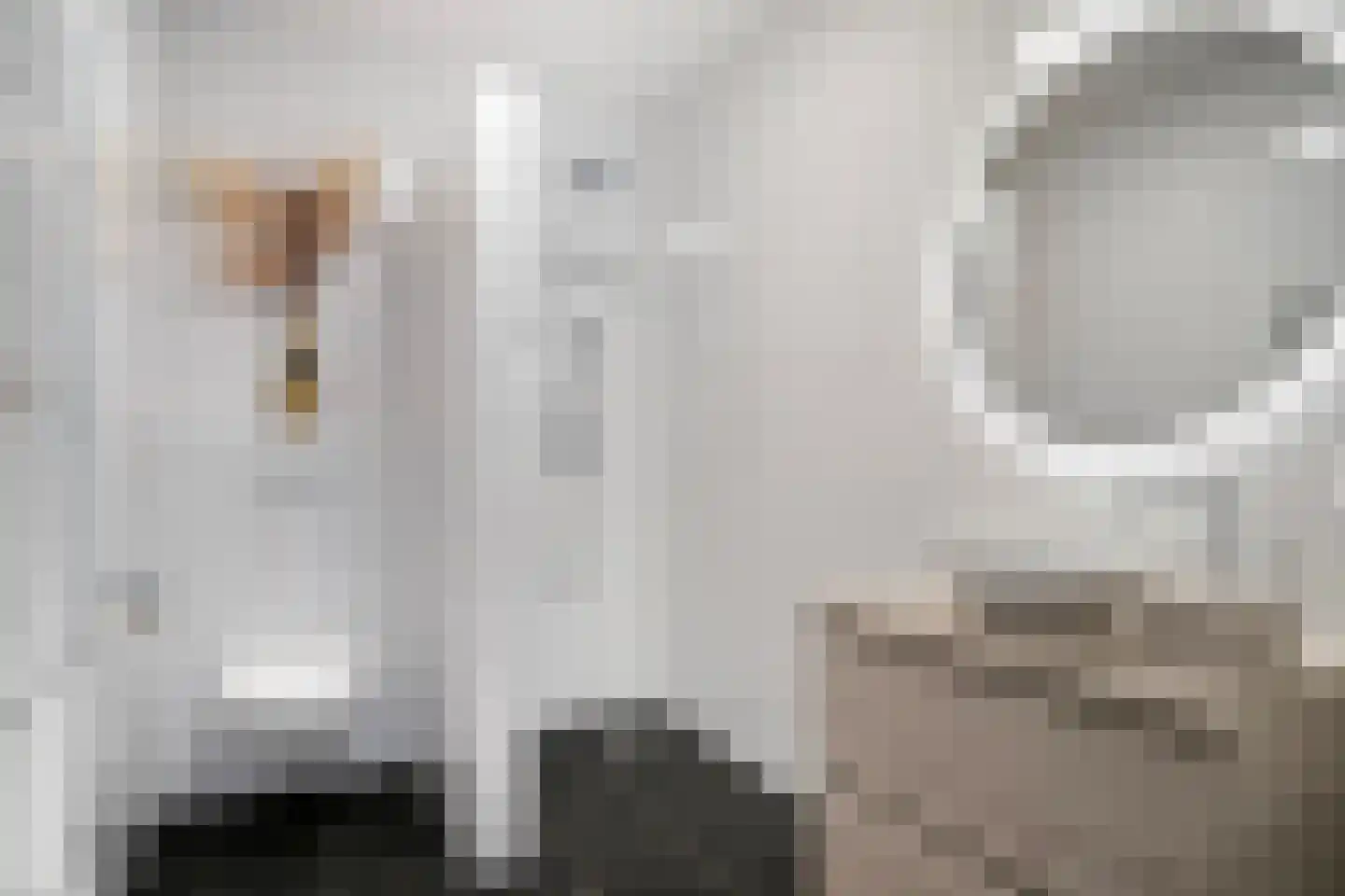 Kerkstraat 32 s Boekel thumbnail 25