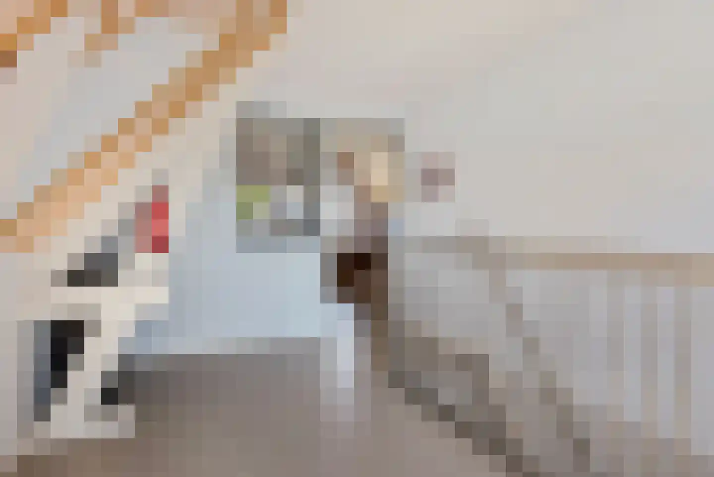 Kerkstraat 32 Westerbeek thumbnail 21