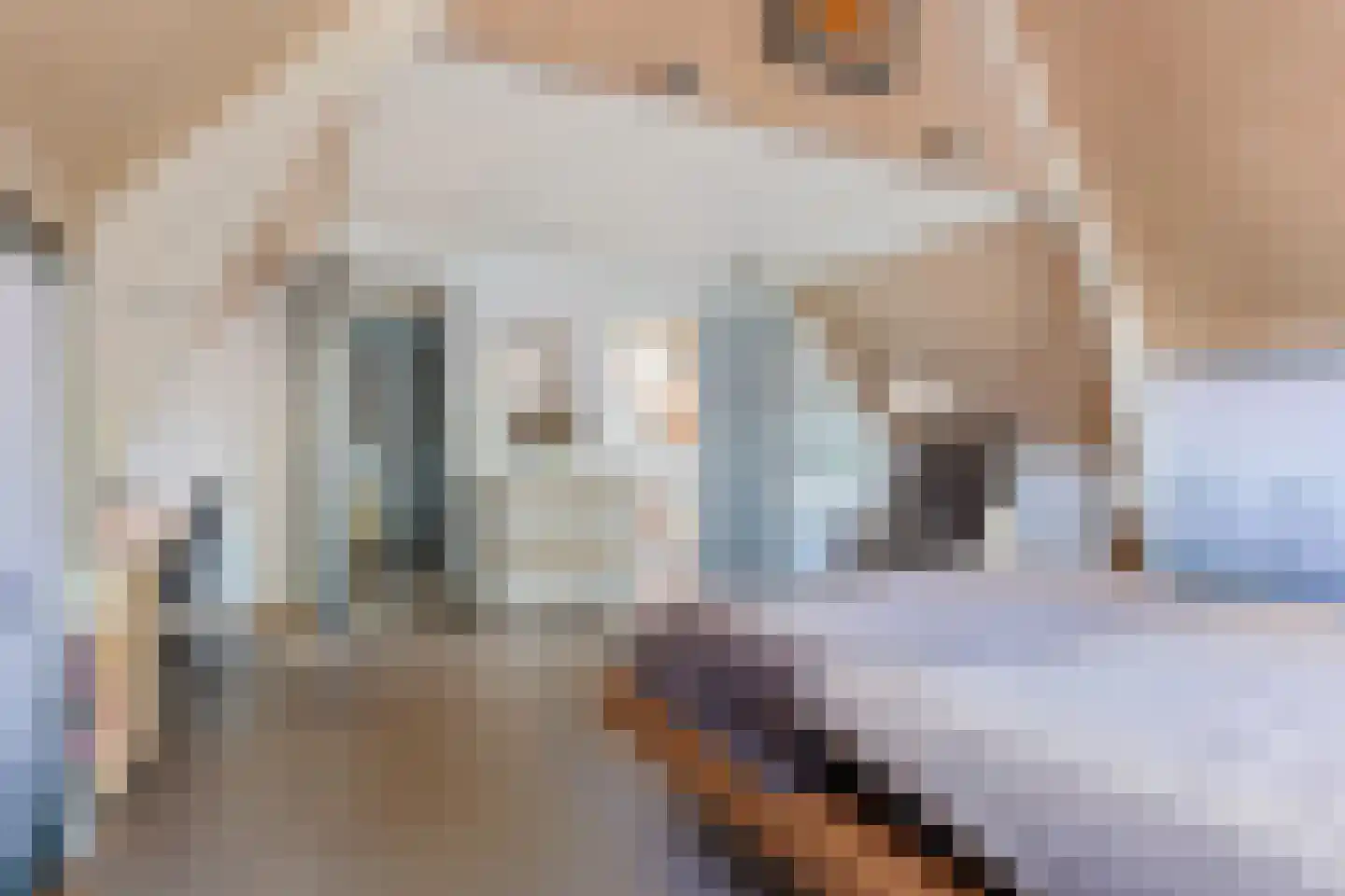 Kerkstraat 32 Westerbeek thumbnail 25