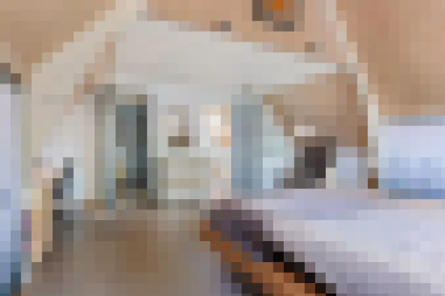 Kerkstraat 32 Westerbeek thumbnail 29
