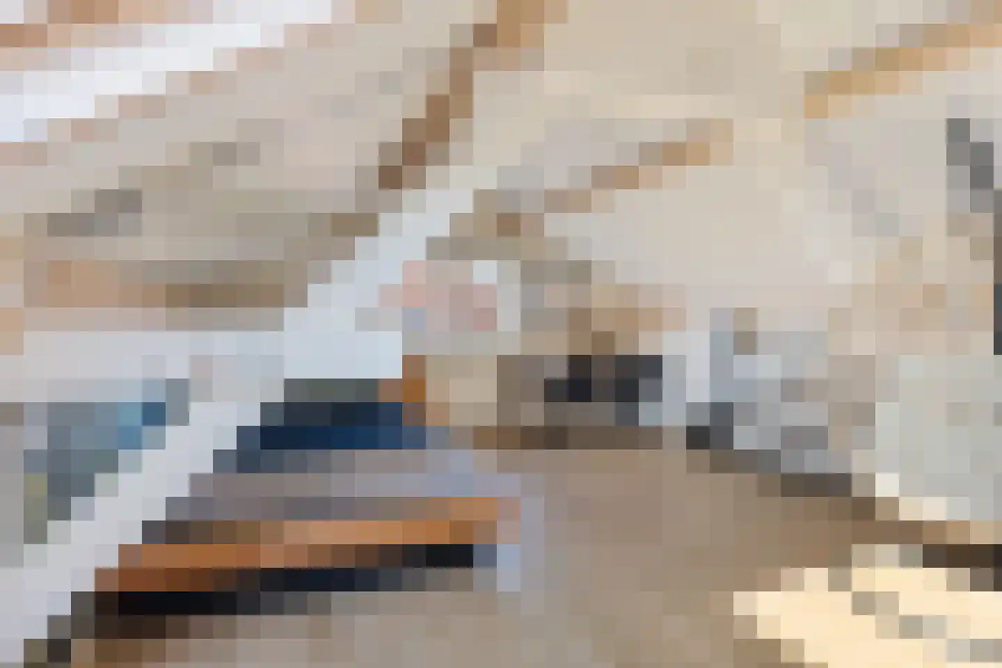 Kerkstraat 32 Westerbeek thumbnail 32