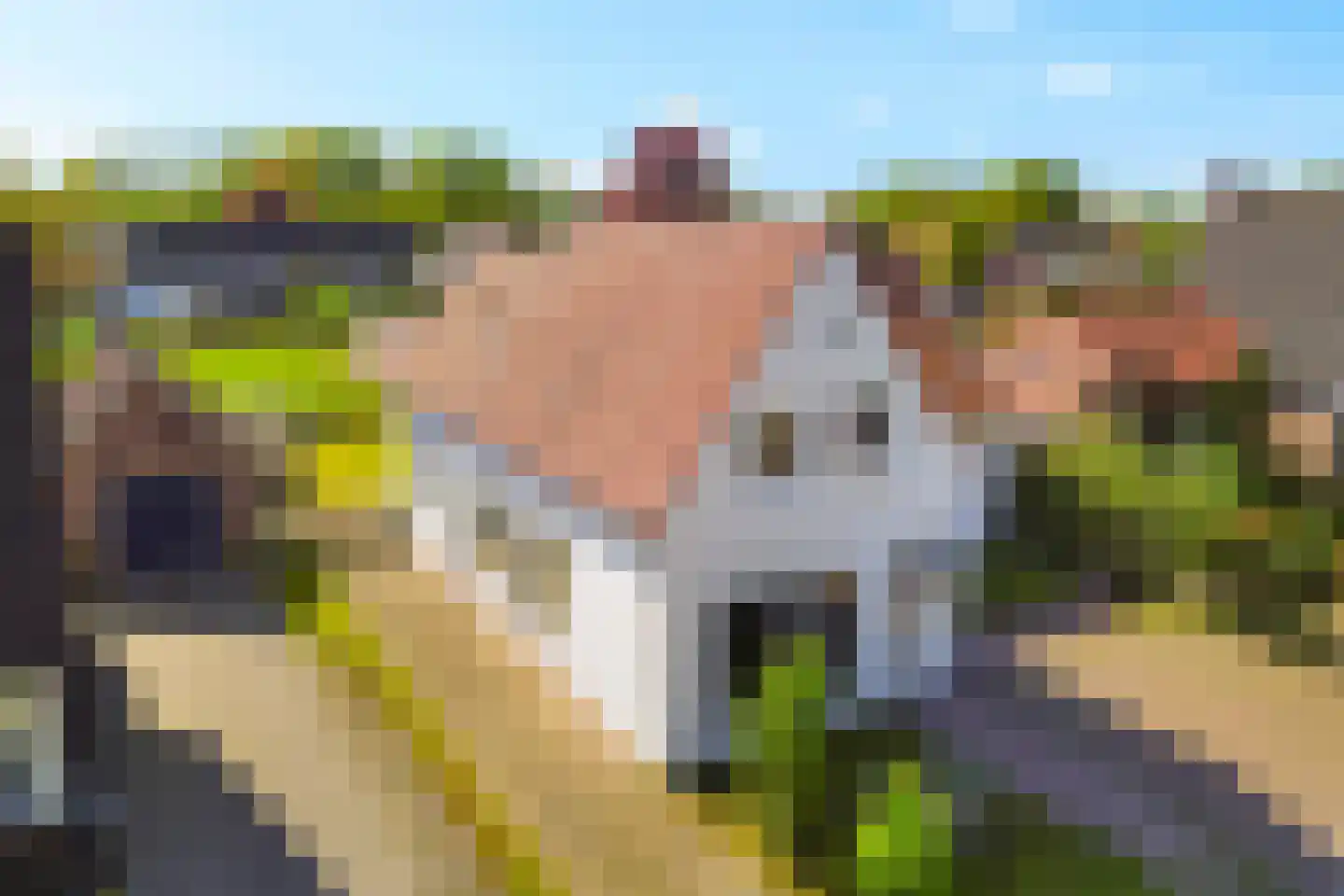 Kerkstraat 32 Westerbeek thumbnail 44