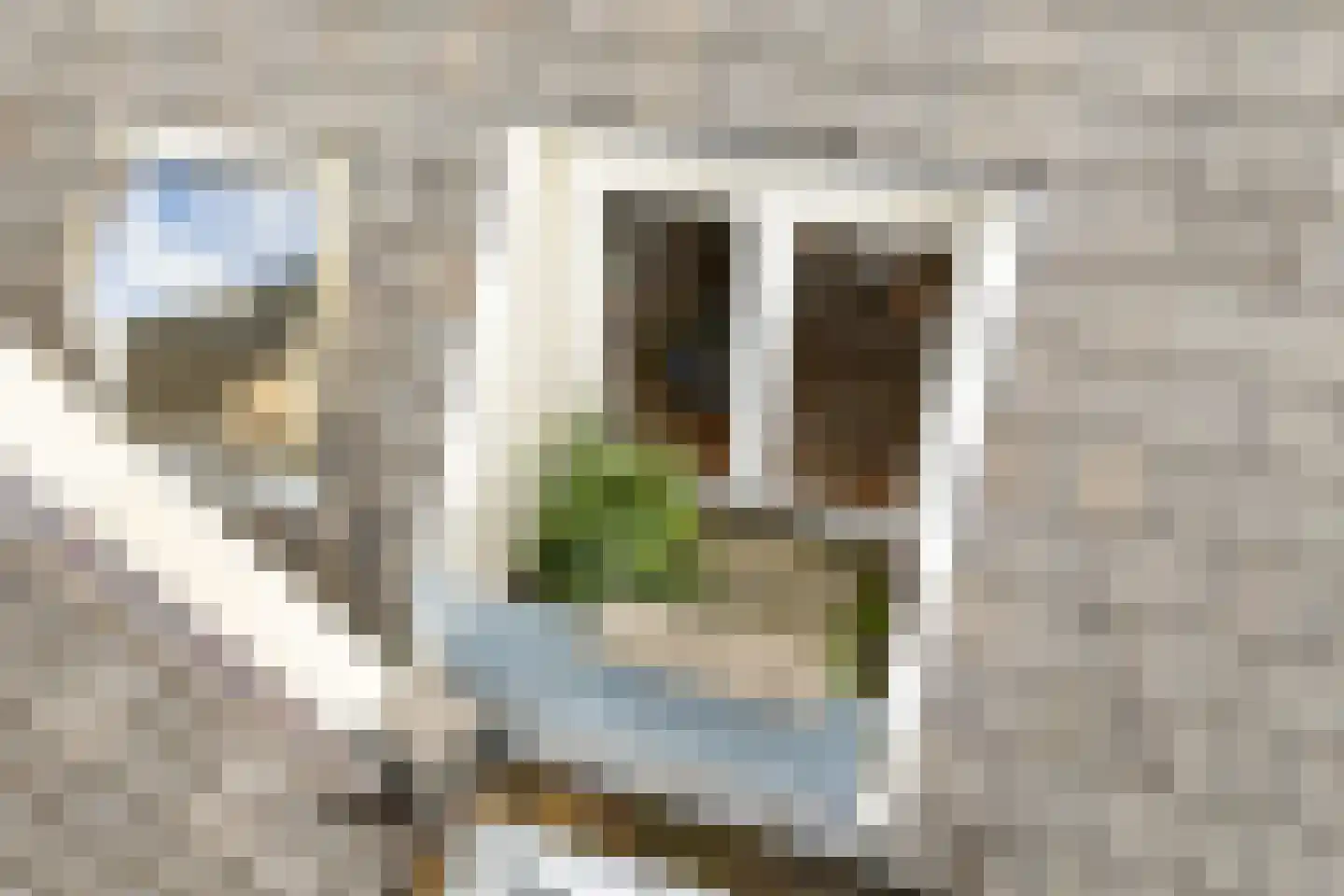 Kerkstraat 322 H Amsterdam thumbnail 9