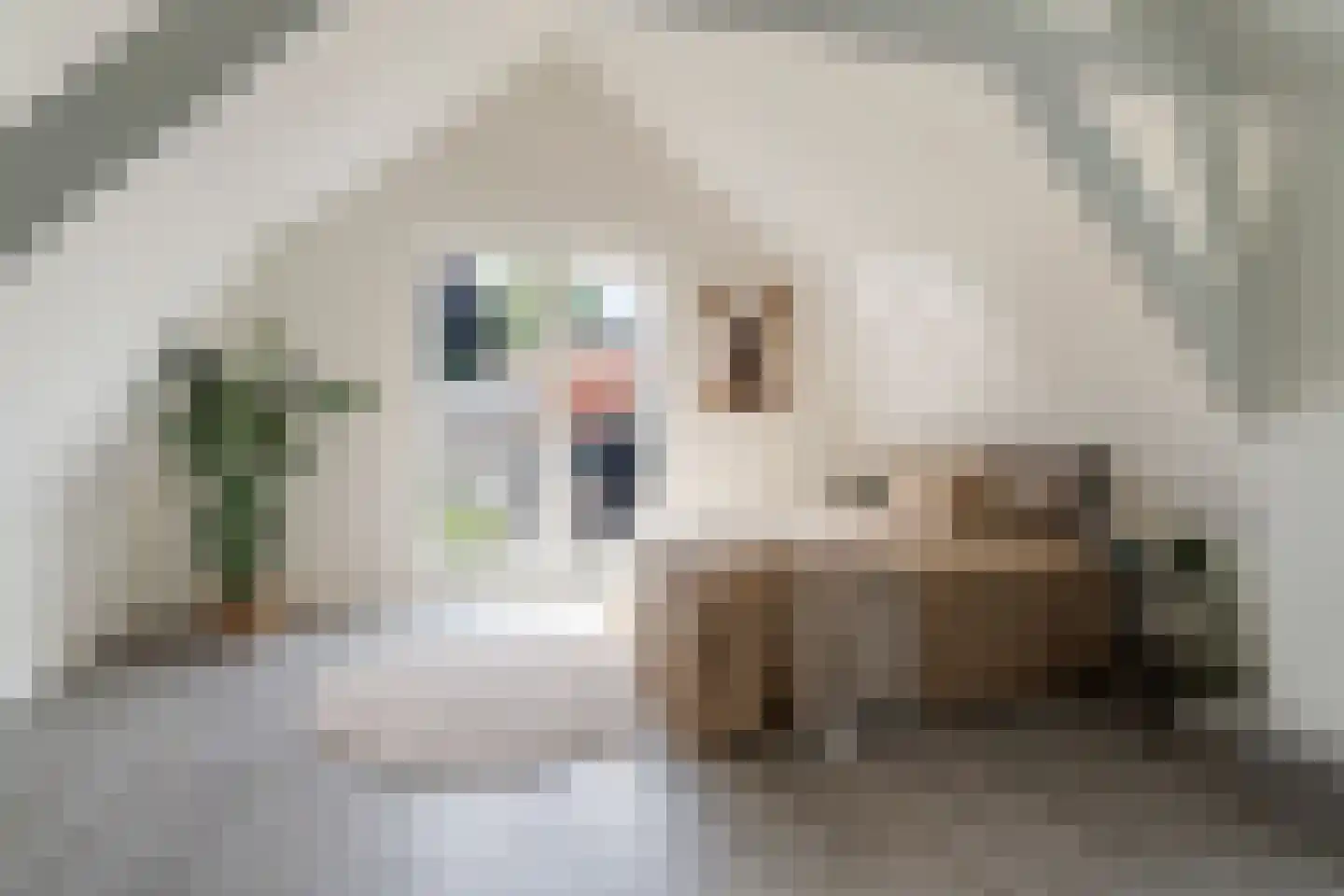 Kerkstraat 33 A Utrecht thumbnail 28