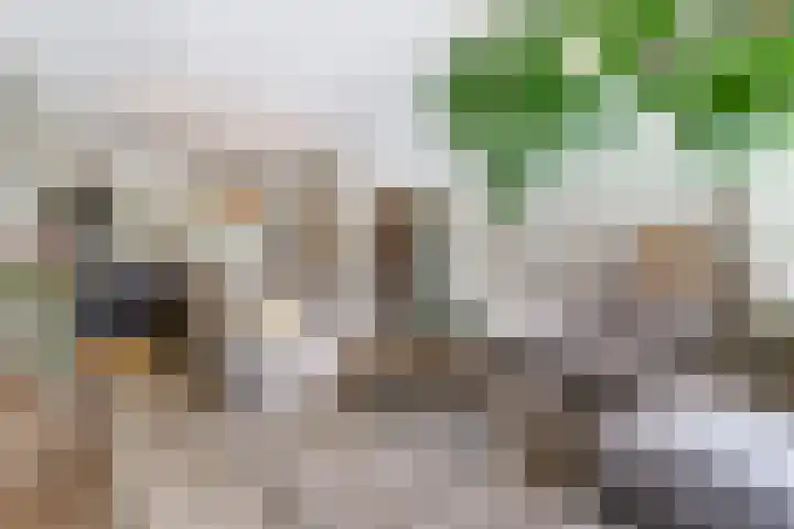 Kerkstraat 33 Diessen thumbnail 14