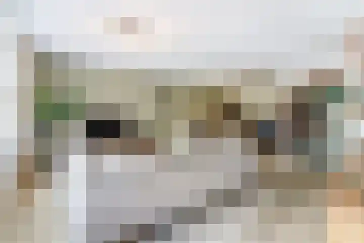 Kerkstraat 33 Diessen thumbnail 15