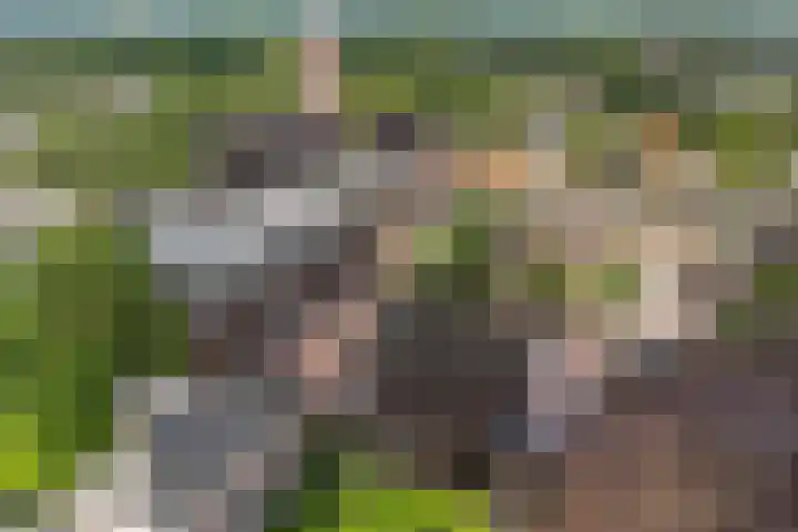 Kerkstraat 33 Diessen thumbnail 36
