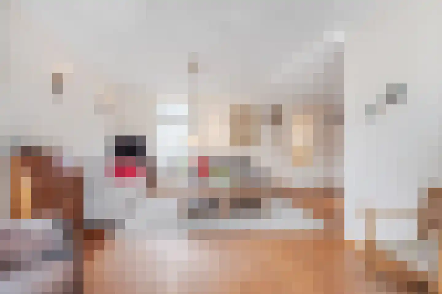Kerkstraat 33 Giesbeek thumbnail 15