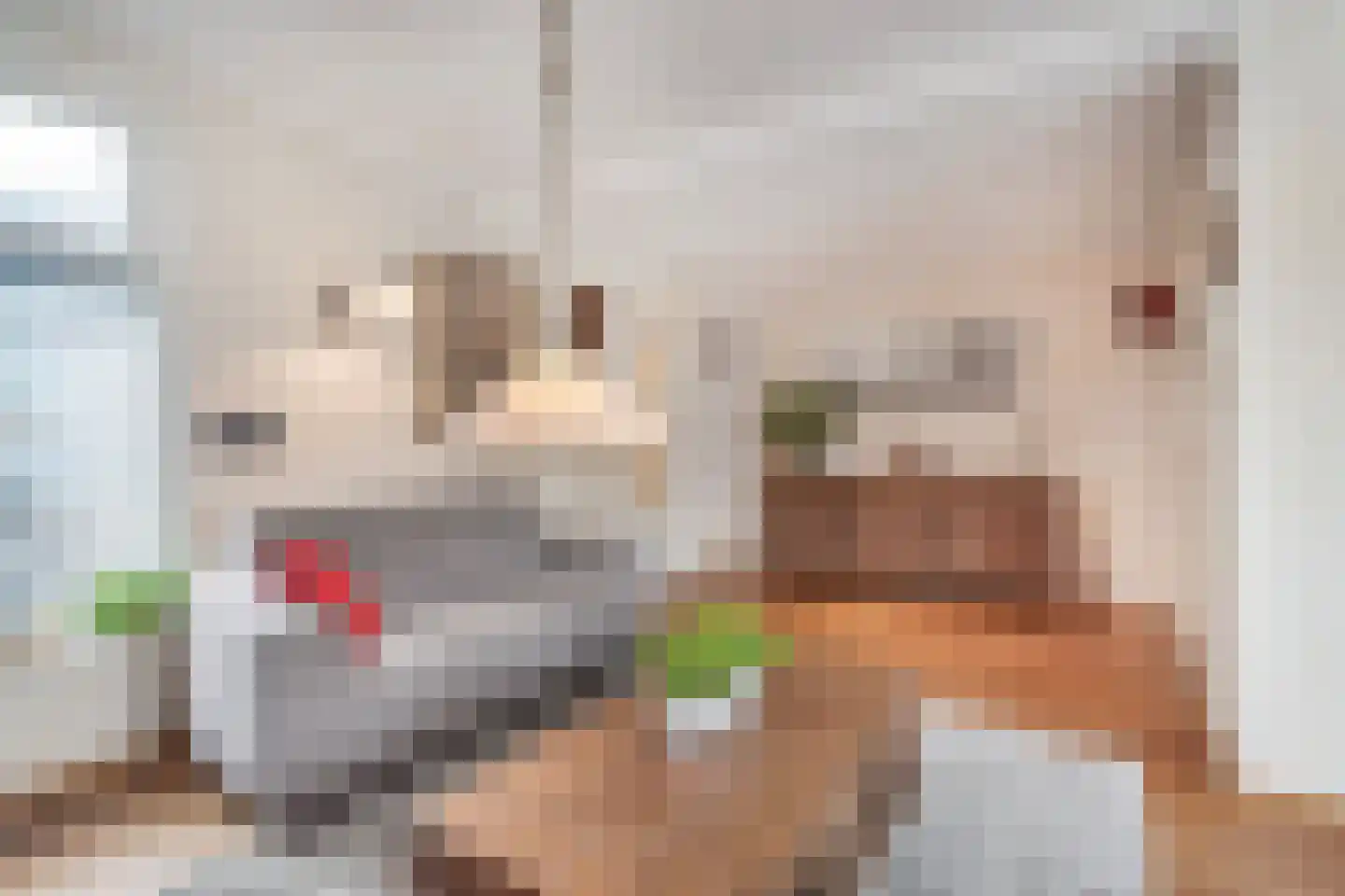 Kerkstraat 33 Giesbeek thumbnail 17