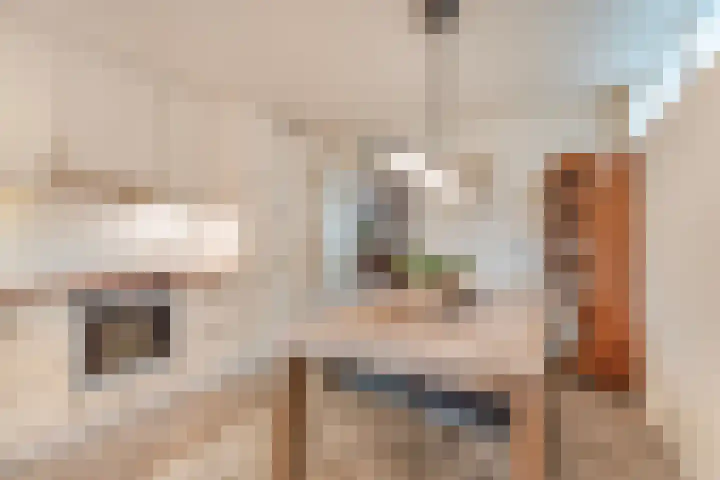 Kerkstraat 33 Giesbeek thumbnail 19
