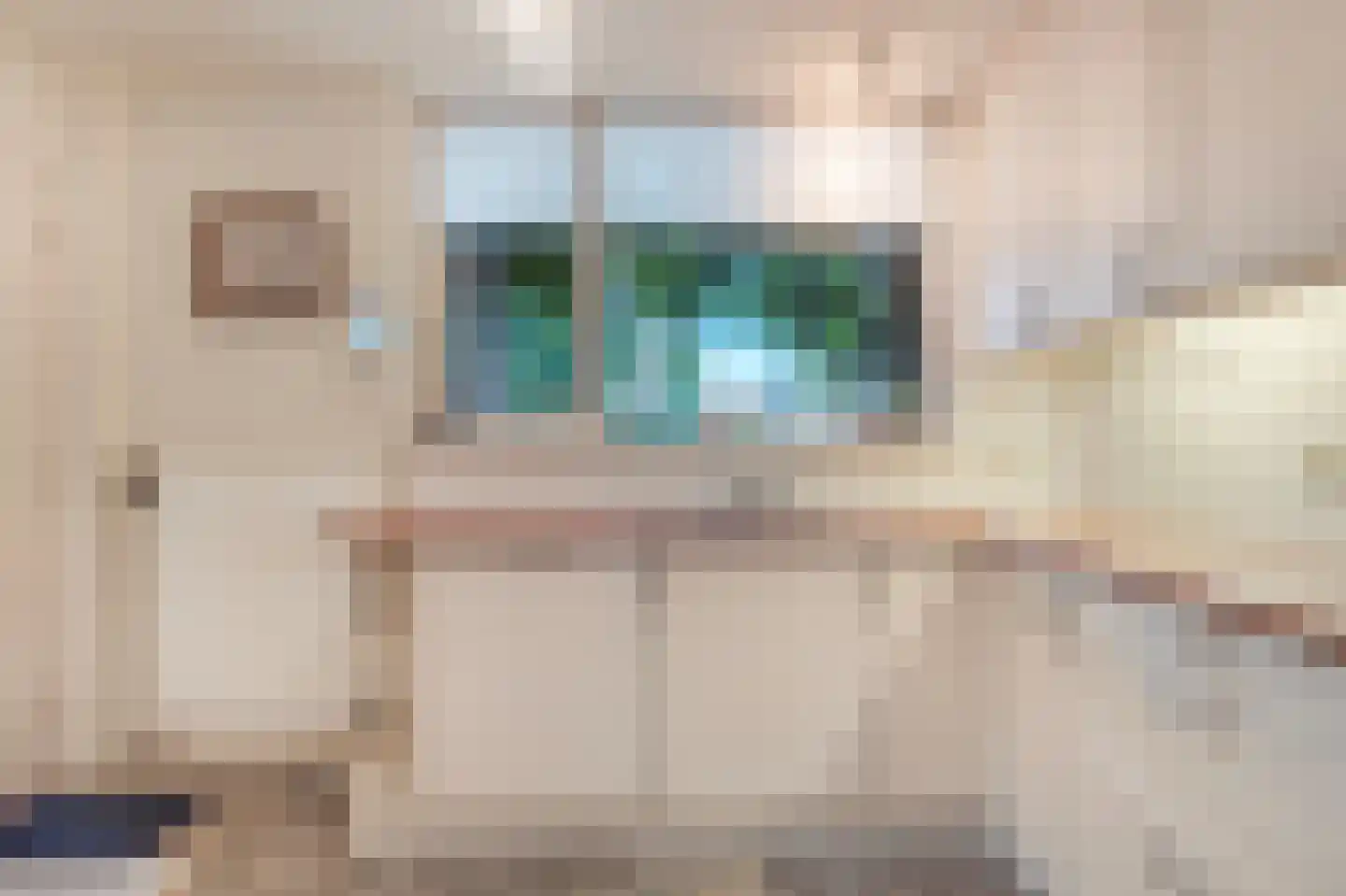 Kerkstraat 33 Giesbeek thumbnail 22