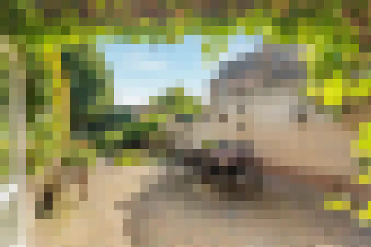Kerkstraat 33 Giesbeek thumbnail 24