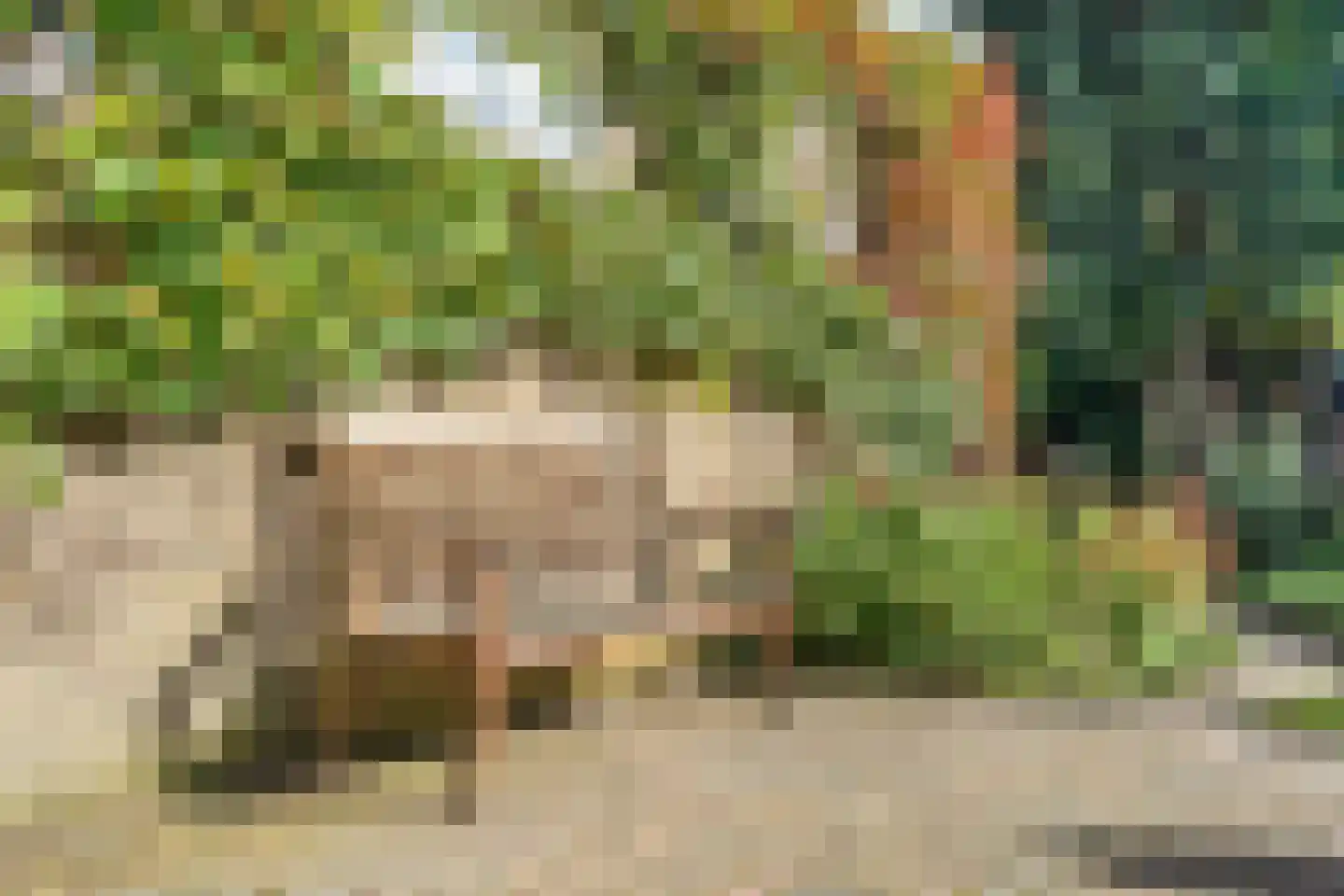 Kerkstraat 33 Giesbeek thumbnail 26