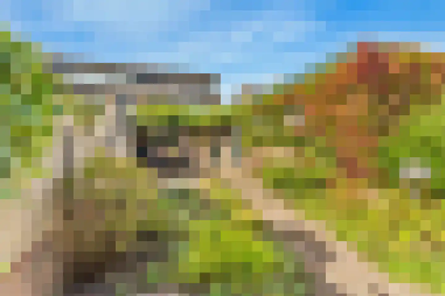Kerkstraat 33 Giesbeek thumbnail 29