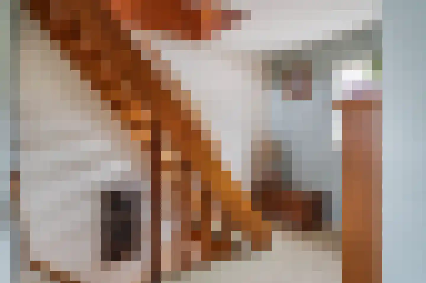 Kerkstraat 33 Giesbeek thumbnail 33
